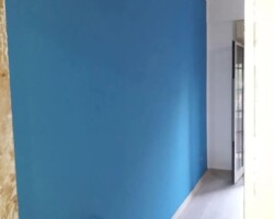 Plastering & Emulsion Painting – Sharp, Clean Colour Line Between Wall and Ceiling venetian 6